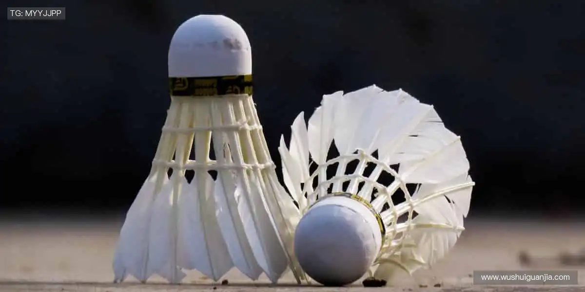 🎮 虚拟观赛,身临其境,用科技点燃你的主场!