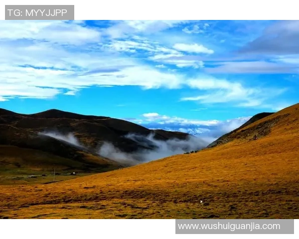 景菡一的成长之路与人生哲学探讨：从青涩到成熟的心灵旅程